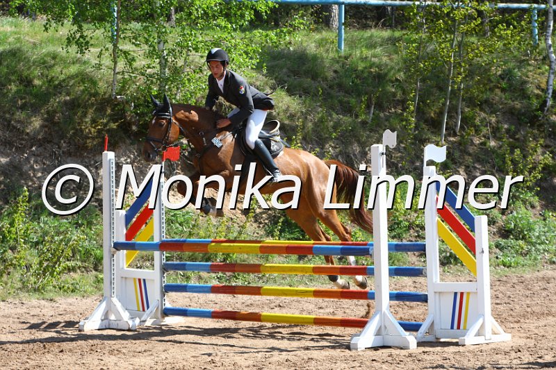 004M1796_Riverdance_Springpferde A xx.JPG